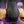 Load image into Gallery viewer, Damian Priest