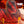 Load image into Gallery viewer, Kane