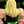 Load image into Gallery viewer, Triple H (DX)