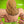 Load image into Gallery viewer, Ultimate Warrior