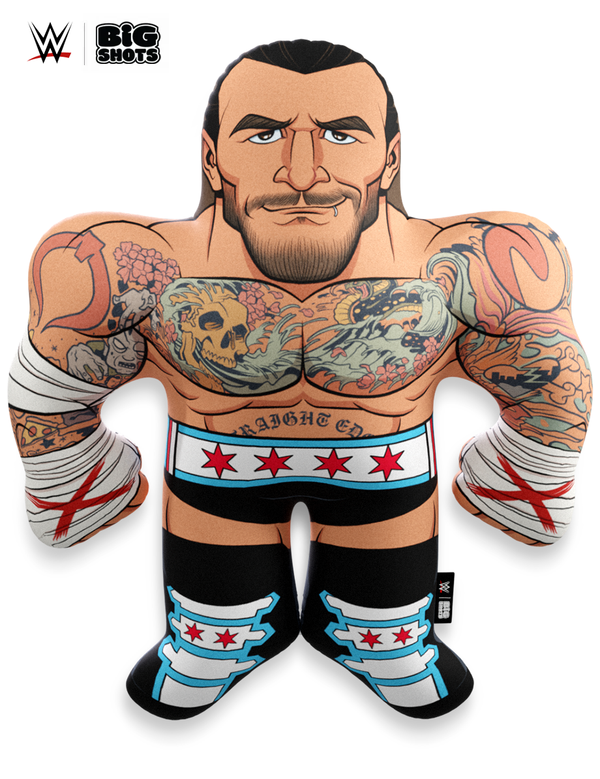 CM Punk 2011